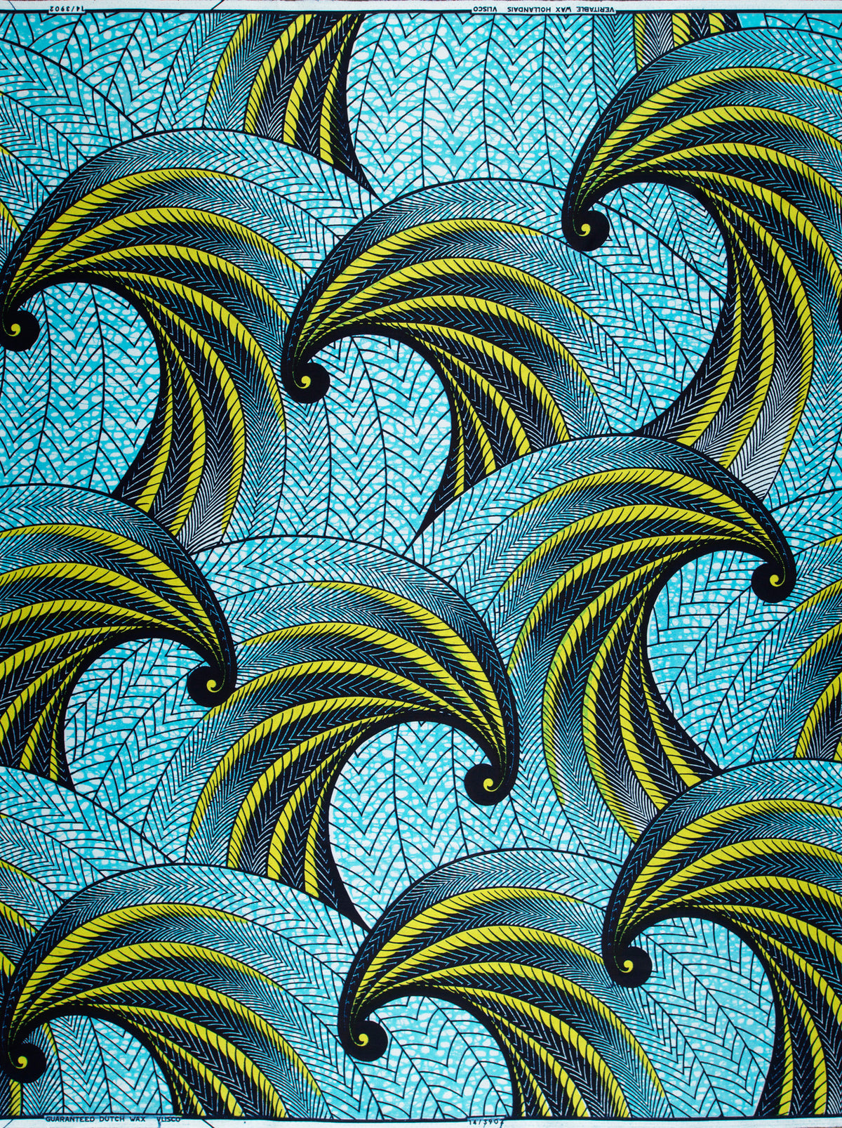 Wax Hollandais | VL03902.029