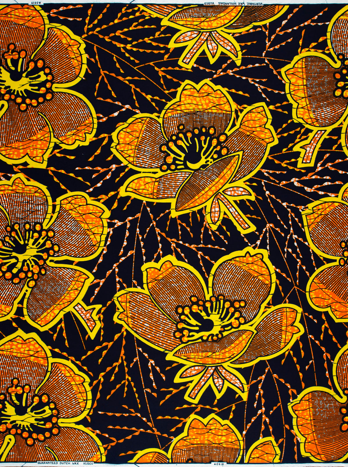 Wax Hollandais | VLA0919.034