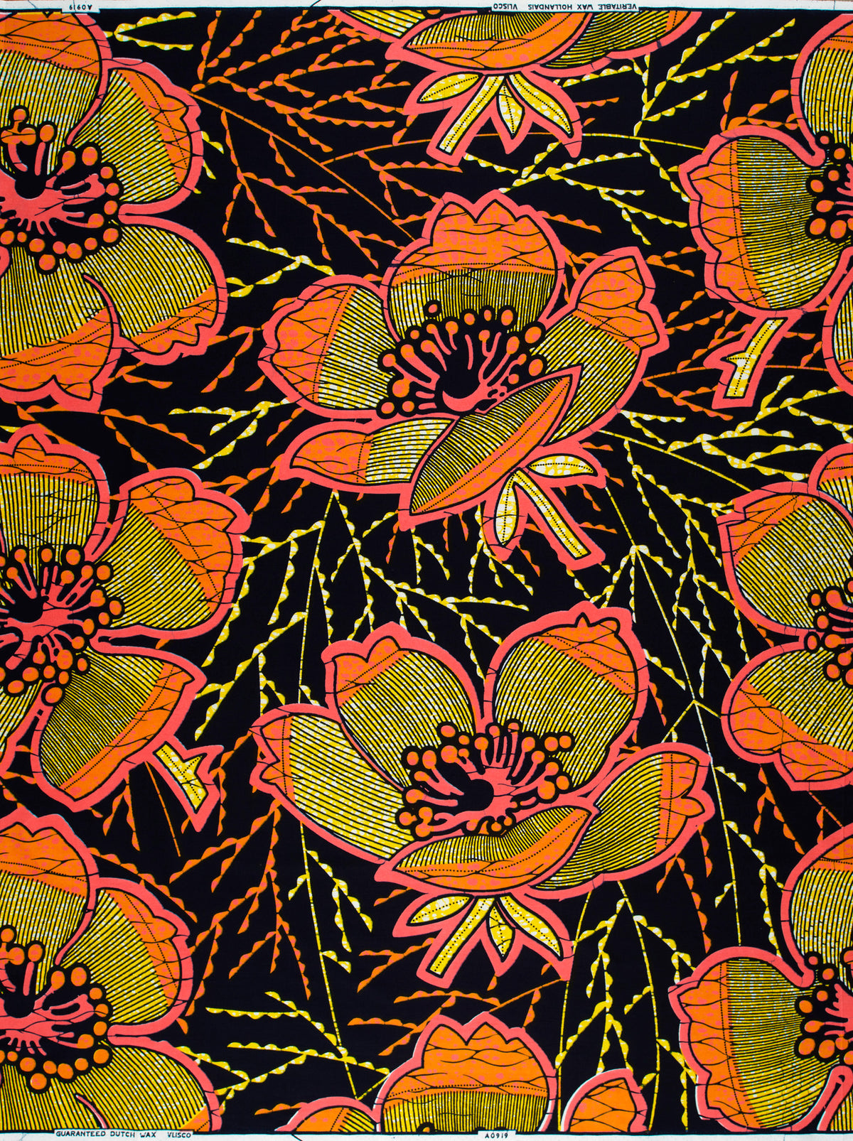 Wax Hollandais | VLA0919.037