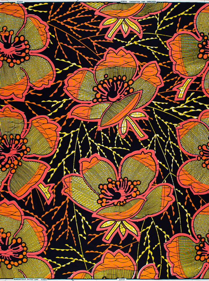 Wax Hollandais | VLA0919.037